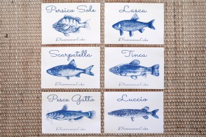 handmade cyanotype postcard