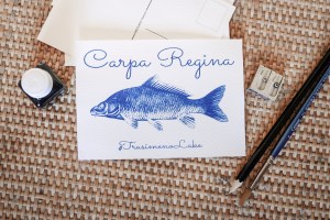 handmade cyanotype postcard