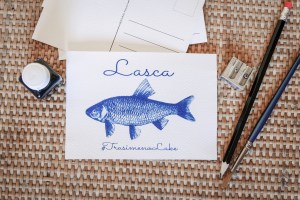 handmade cyanotype postcard