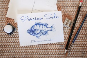 handmade cyanotype postcard