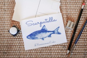 handmade cyanotype postcard