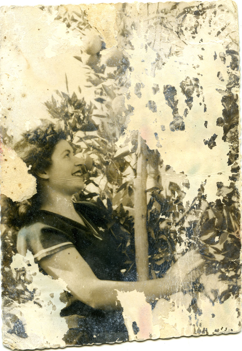 metà millenovecento